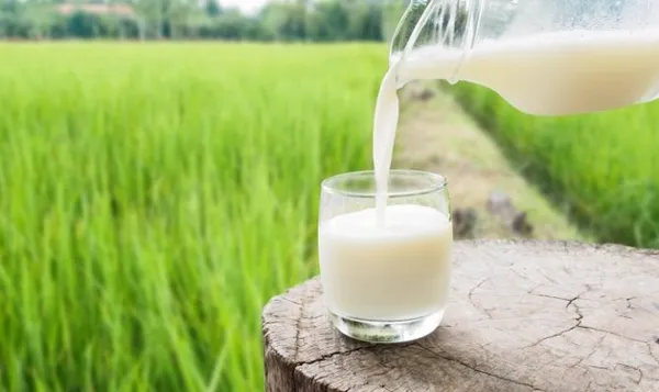 Молоко на красивом фоне травы