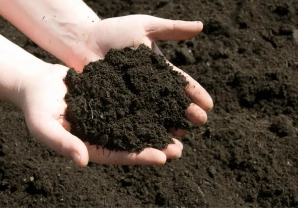 Как узнать тип почвы на вашем участке и зачем это нужно