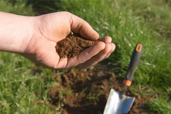 Как определить тип почвы на садовом участке. Как определить тип почвы на садовом участке. 6