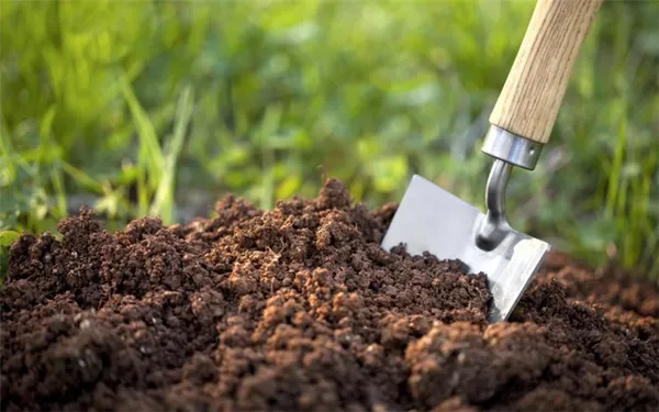 Как определить тип почвы на садовом участке. Как определить тип почвы на садовом участке. 2