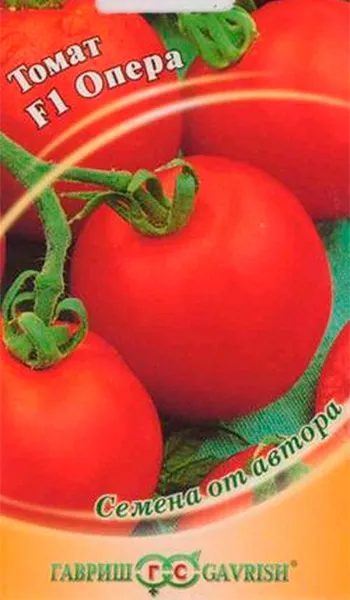 Мозаика томатов: описание и лечение вируса. Что такое табачная мозаика. 9