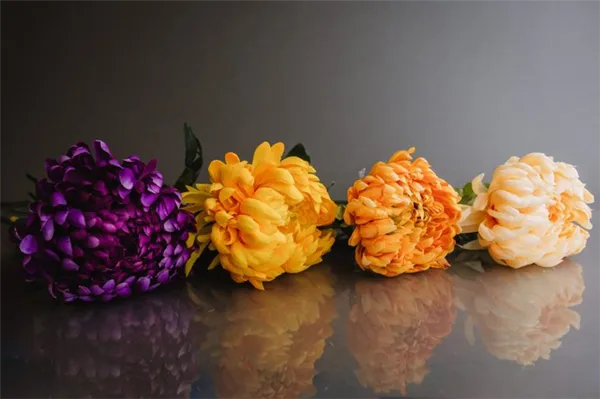Виды хризантем с фото и названиями. Какого цвета бывают хризантемы. 3