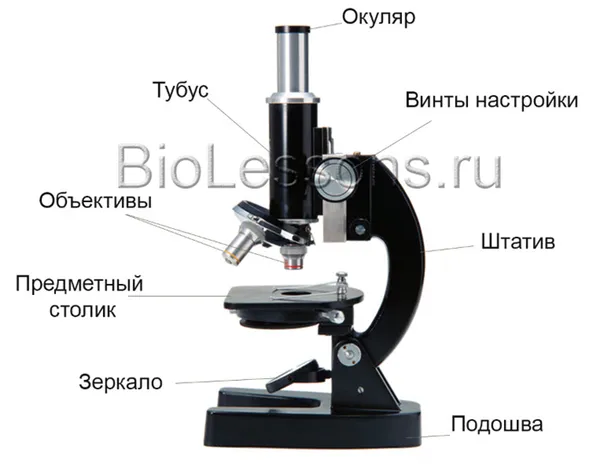 устройство светового микроскопа