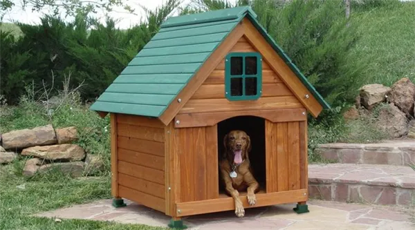 Как построить и где разместить будку для собаки. Дом собаки как называется. 3
