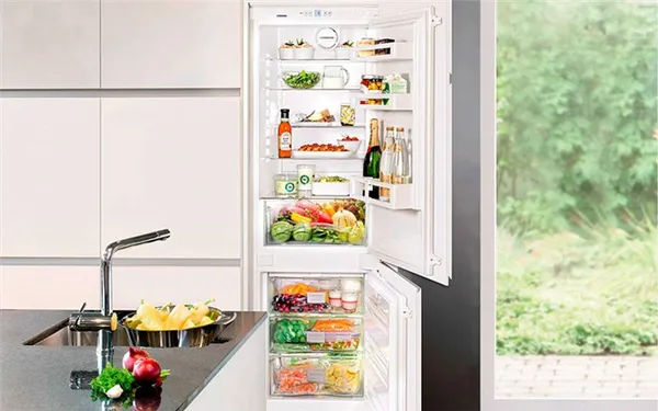 Холодильник какой фирмы лучше выбрать 