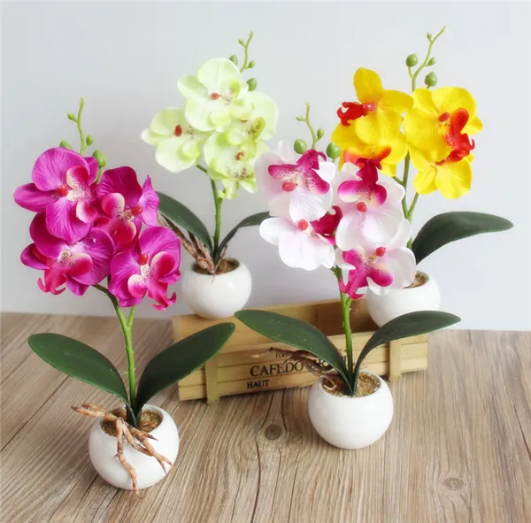Горшок для орхидеи — правила выбора. Какой горшок нужен для орхидеи. 3