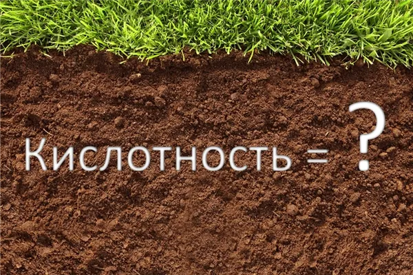 Рh почвы для растений: таблица оптимальной кислотности грунта. Какая кислотность почвы должна быть. 6