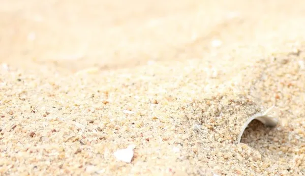 Какой песок для цемента лучше — 5 советов по выбору. Какой песок нужен для бетона. 15