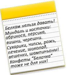 Как сделать удобную кормушку для белки 12