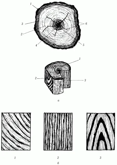 Обзор физических свойств древесины 2