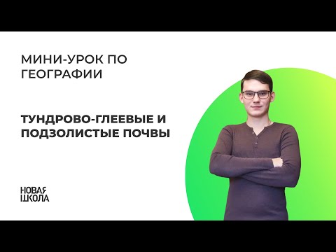 Глеевые почвы 11