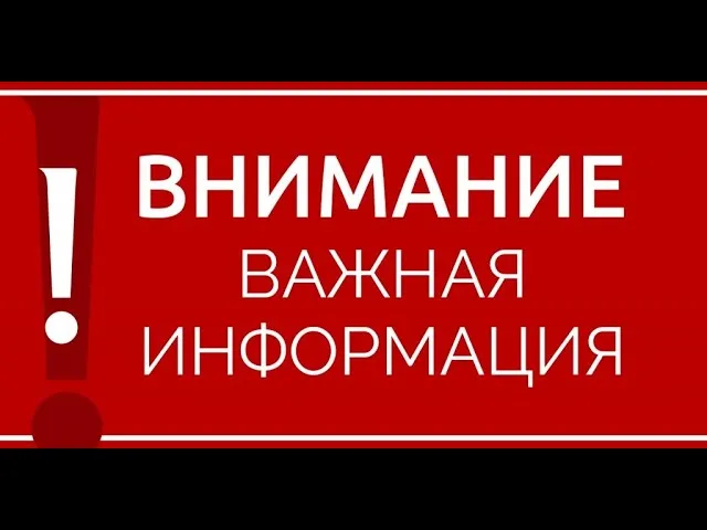 Диплоидная слива купить саженцы в Крыму 15