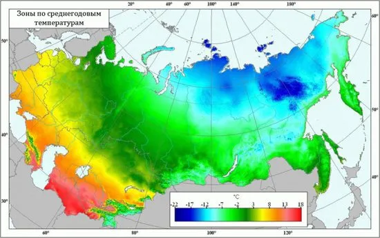 Тонкости и правила обрезания сливы в осенний период 11