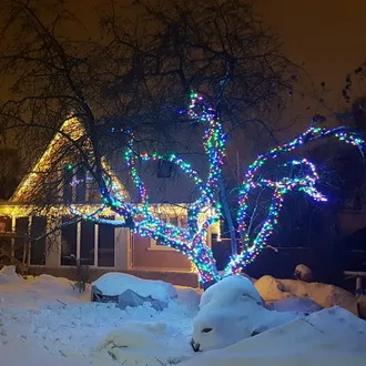 Украшаем деревья гирляндами