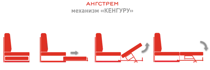 кенгуру (1).png