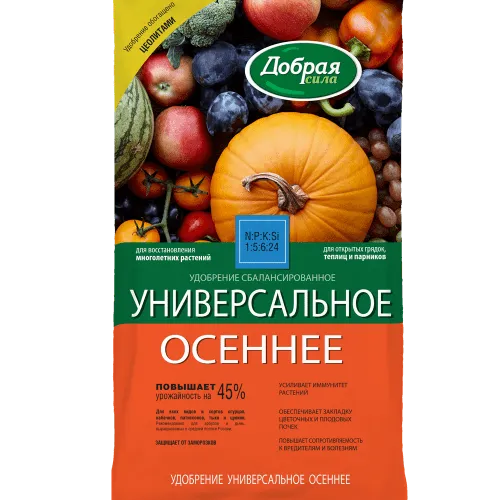 Чем подкормить виноград: правильно удобряем с весны по осень 3