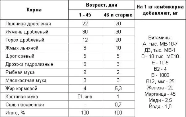 Правила содержания бройлеров