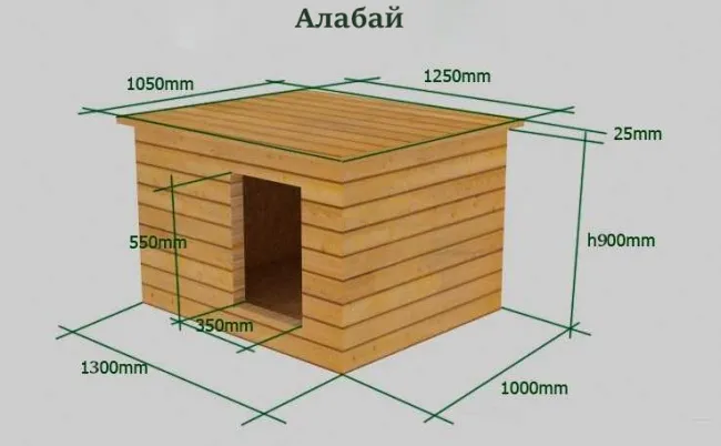 Как построить вольер для алабая своими руками 5