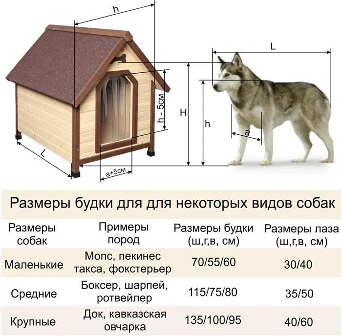 Как построить вольер для алабая своими руками 4