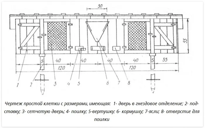 Разводим кроликов на участке: какую клетку выбрать, куда ее лучше поставить и как создать кроликам условия для размножения 4