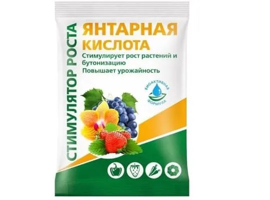 Стимулятор роста янтарная кислота