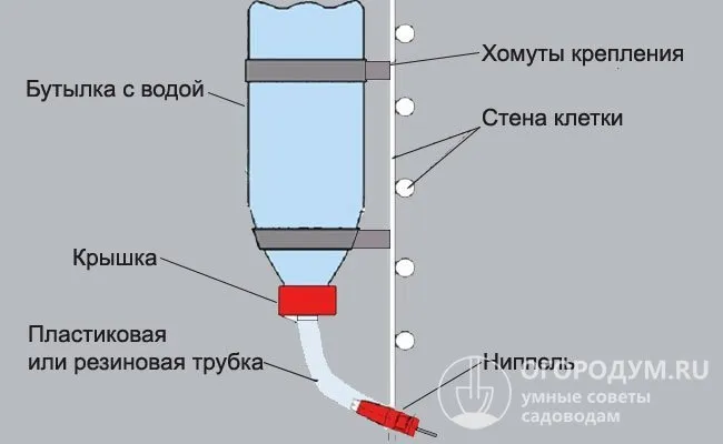 Делаем поилку