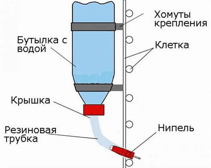 Схема ниппельной поилки для кроликов