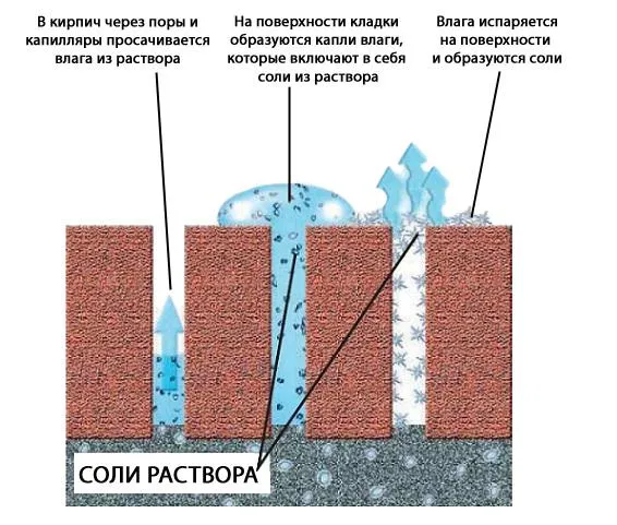 Пример высолов на кирпичной кладке