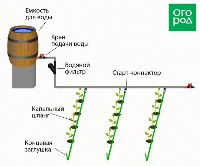 Схема капельного полива