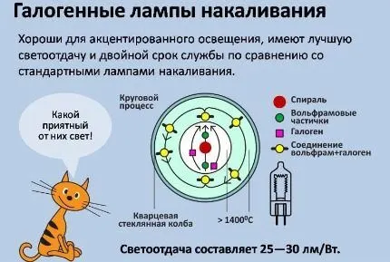 Особенности галогеновых ламп