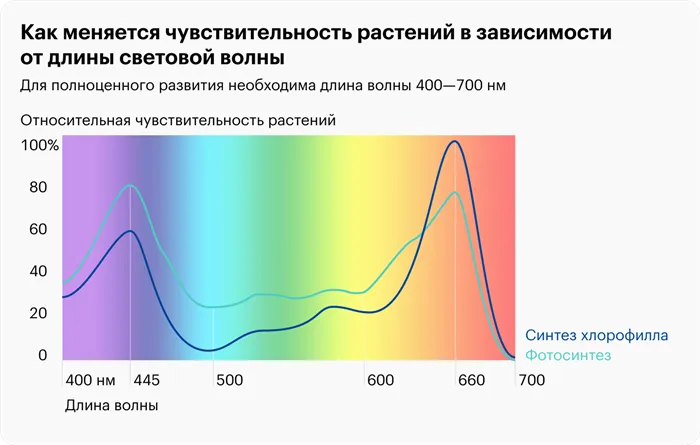 Почему вы должны включать УФ-А в светодиодные лампы для выращивания растений 2