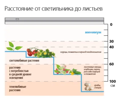 расстояние