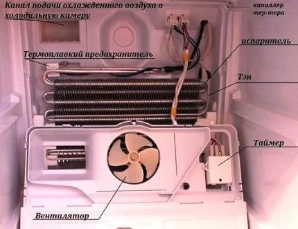 Внутреннее устройство холодильной камеры