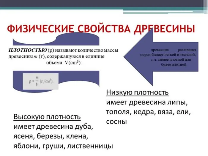 Обзор физических свойств древесины 9