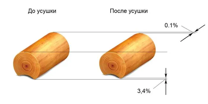 Обзор физических свойств древесины 20