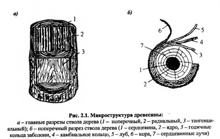 Обзор физических свойств древесины 7