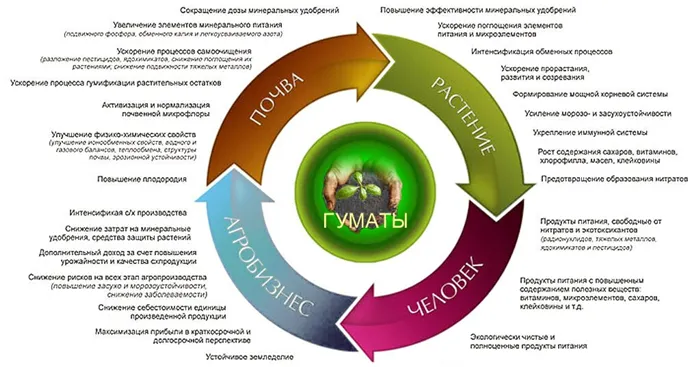 Что такое гуматы и как их правильно использовать 2