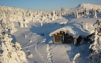 Снегоуборочная машина в зимнем лесу